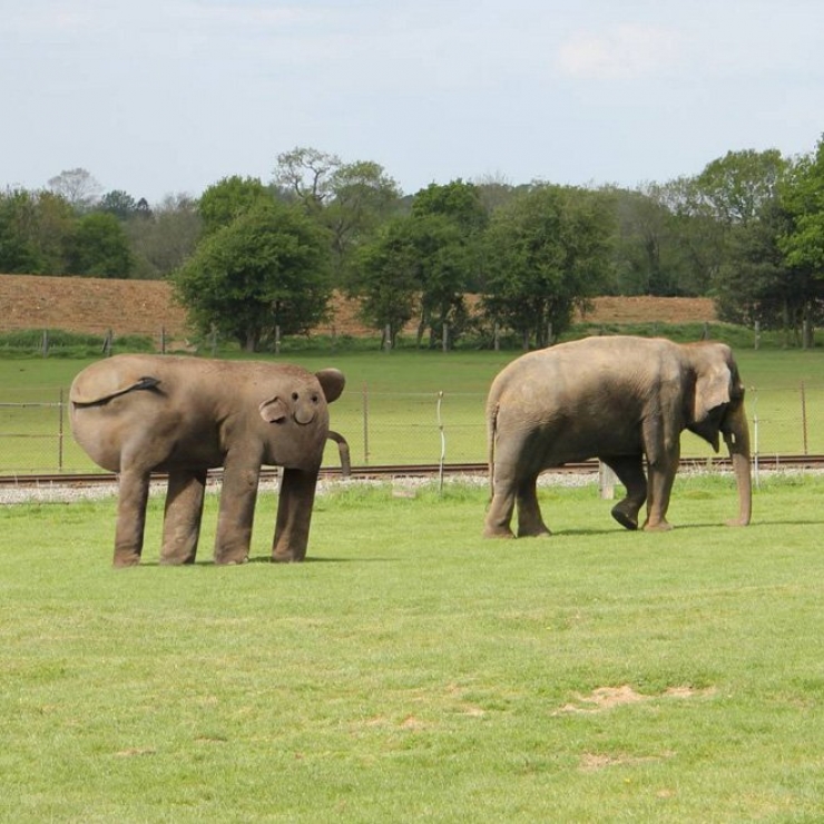 Illustration de l'article : Le coup de cœur Instagram : Ce papa donne vie aux dessins de son enfant de 6 ans...