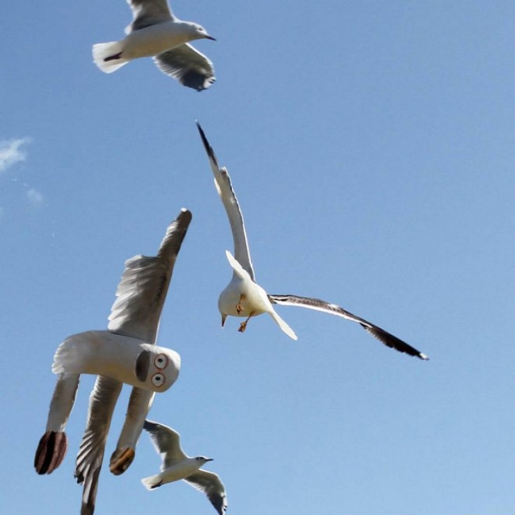 Illustration de l'article : Le coup de cœur Instagram : Ce papa donne vie aux dessins de son enfant de 6 ans...