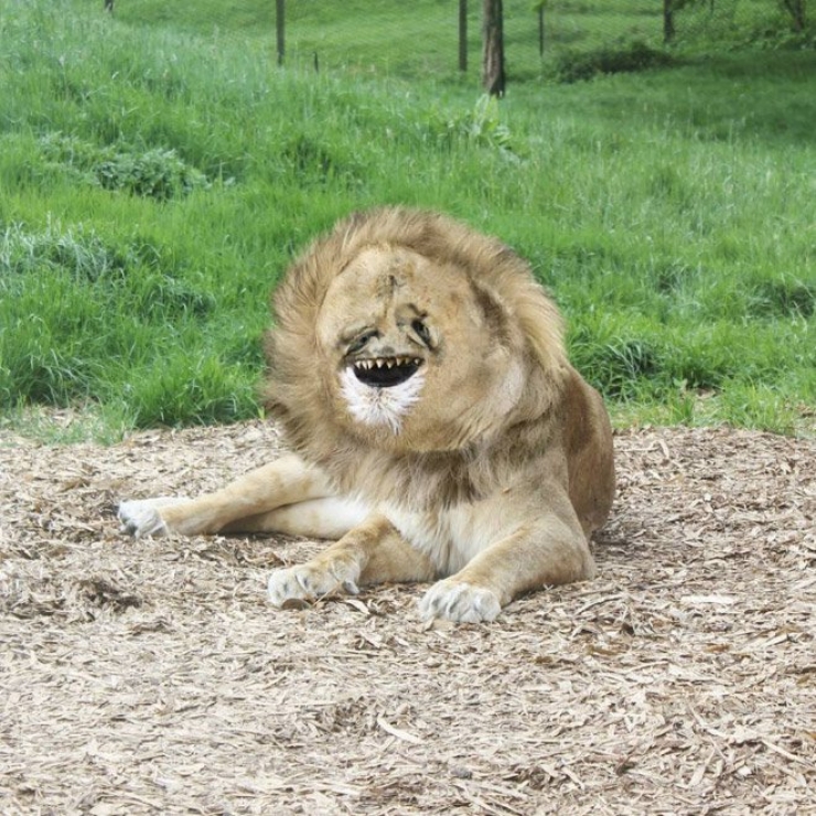 Illustration de l'article : Le coup de cœur Instagram : Ce papa donne vie aux dessins de son enfant de 6 ans...