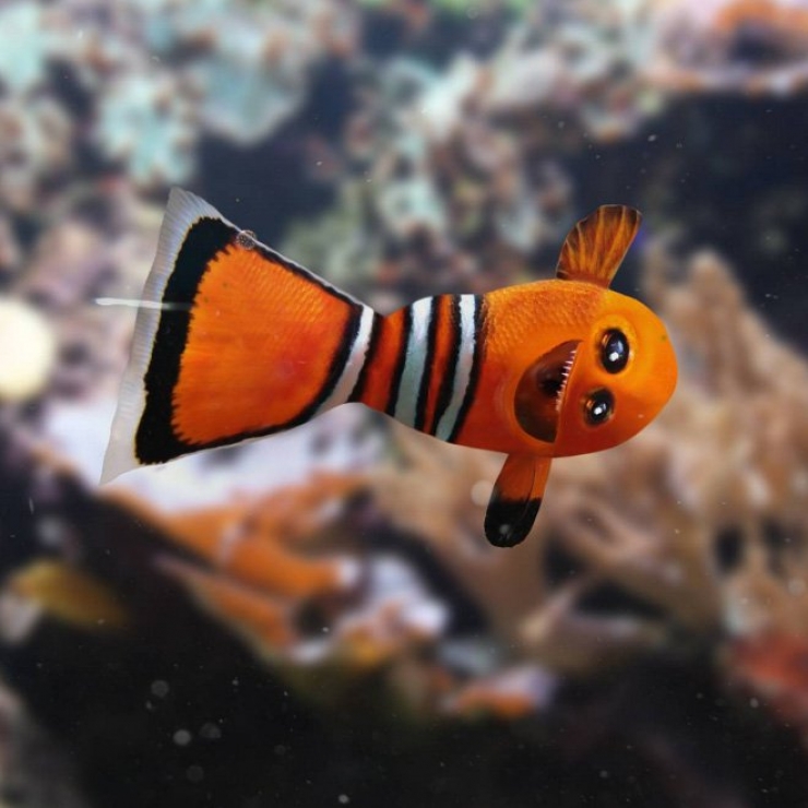 Illustration de l'article : Le coup de cœur Instagram : Ce papa donne vie aux dessins de son enfant de 6 ans...