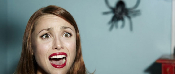 Illustration de l'article : D&eacute;couvrez votre v&eacute;ritable personnalit&eacute; gr&acirc;ce &agrave; vos phobies !