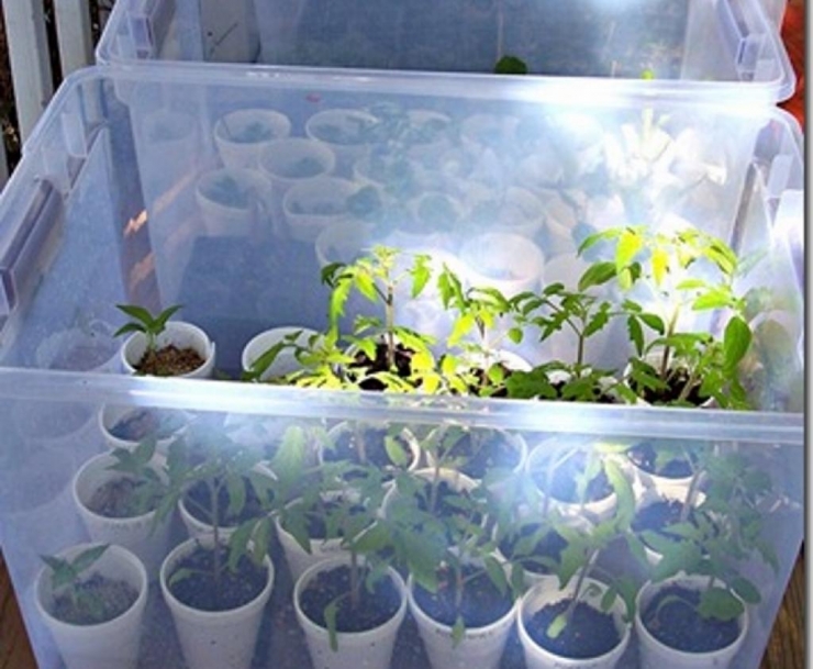 Illustration de l'article : 11 créations lumineuses à faire avec vos bacs en plastique ! Ici, vous allez mettre de l'ordre dans vos décorations de Noël, juste avec deux tiges en bois !