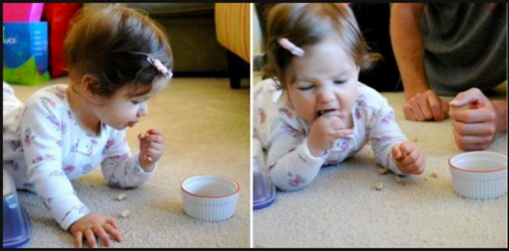 Illustration de l'article : Seuls les parents pourront comprendre le v&eacute;ritable sens de ces 19 photos !