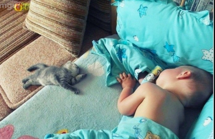 Illustration de l'article : Seuls les parents pourront comprendre le v&eacute;ritable sens de ces 19 photos !