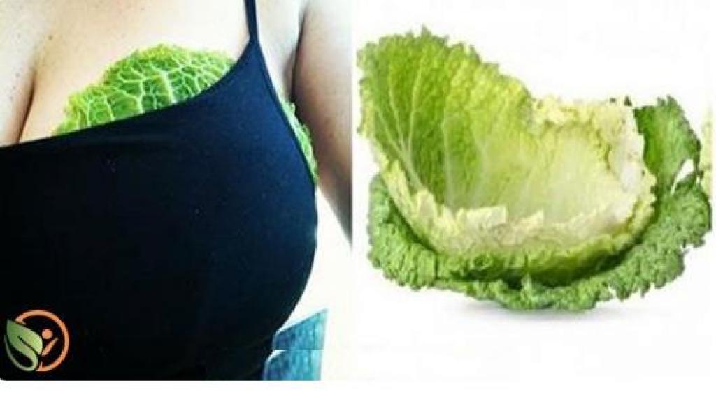 Illustration de l'article : C'est donc pour ça que les femmes mettent des feuilles de chou sur leurs seins. Surprenant mais bon à savoir!