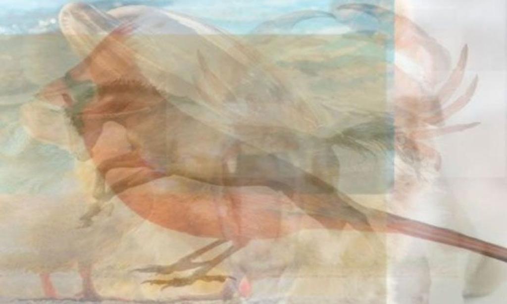 Illustration de l'article : La première chose que vous voyez sur cette image en dit beaucoup sur votre personnalité...