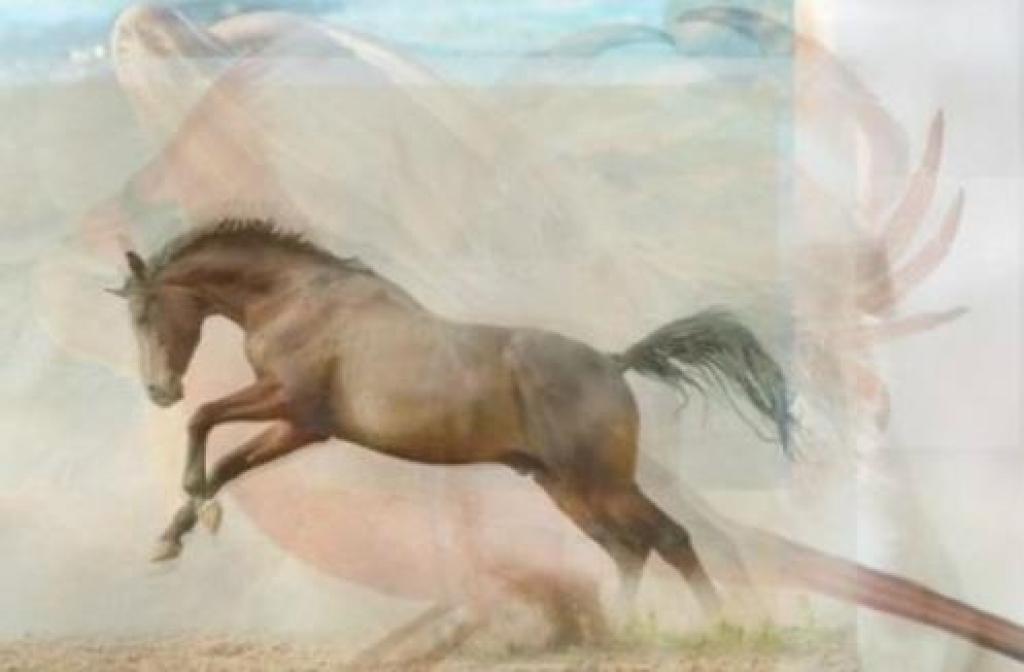 Illustration de l'article : La première chose que vous voyez sur cette image en dit beaucoup sur votre personnalité...