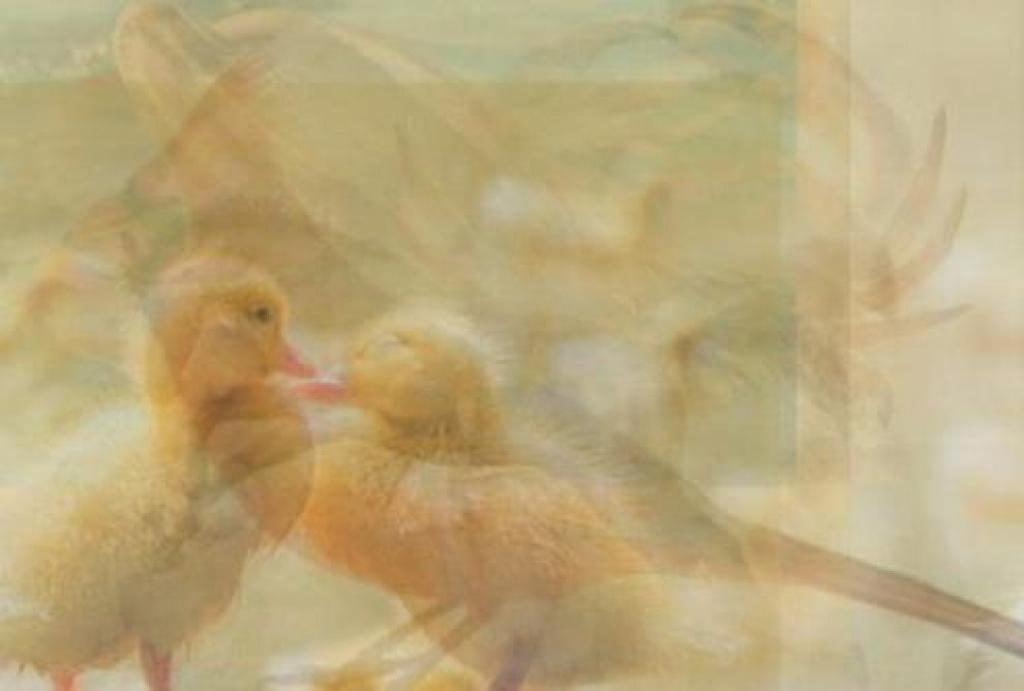 Illustration de l'article : La première chose que vous voyez sur cette image en dit beaucoup sur votre personnalité...