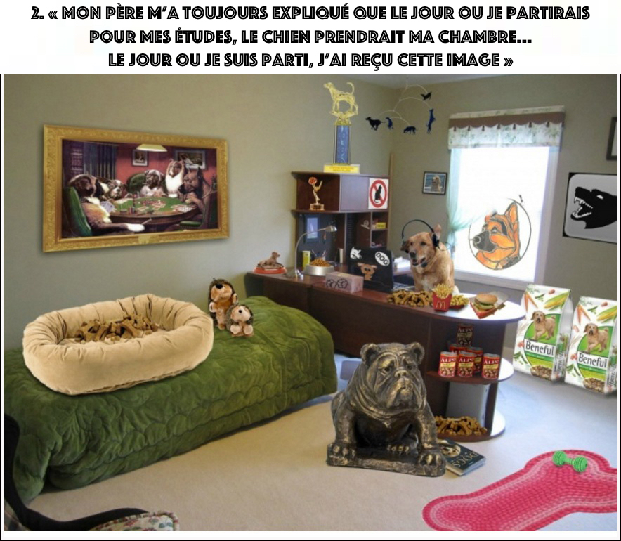 Illustration de l'article : 12 parents qui ont visiblement un tr&egrave;s bon sens de l'humour...