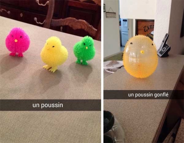 Illustration de l'article : Essayez de ne pas rire pendant que vous regardez ces 17 Snapchats... insolites!