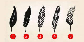 Illustration de l'article : Test de personnalité : choisissez une plume et apprenez en plus sur vous-même