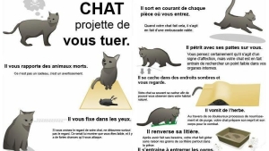 Illustration : "Comment savoir si votre chat veut vous tuer !"
