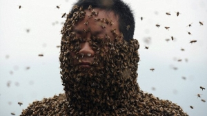 Illustration : "Cette homme se fait recouvrir le corps par plus de 460 000 abeilles !"