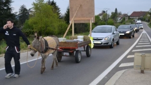 Illustration : "France: Son permis retiré, il se rend au travail avec un âne et provoque un énorme bouchon"