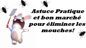 Illustration : "Que Faire Contre les Mouches ? L'astuce pratique qui ne coûte rien!"