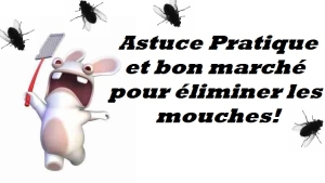 que faire pour les mouches que faire pour les mouches
