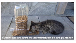 Illustration : "Une idée - Un Tuto: Distributeur de croquettes pour votre chien/chat!"