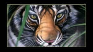 Illustration : "Trouvez l'erreur: Le Tigre!"
