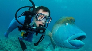 Illustration : "Top 10 des plus belles photos de l’Homme avec le monde sous-marin!"