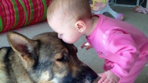 Illustration : "L’amitié entre bébés et animaux à travers 14 photos attendrissantes!"