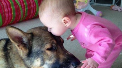Illustration : L’amitié entre bébés et animaux à travers 14 photos attendrissantes!