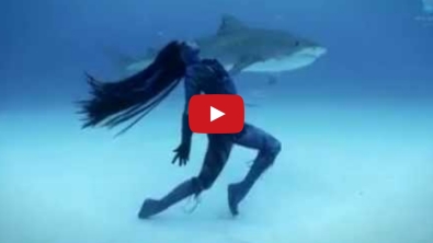 Illustration : La « Femme-sirène » dans sa danse  avec les requins. 