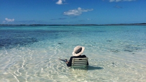 12 photos pleines de fraîcheur pour oublier la canicule