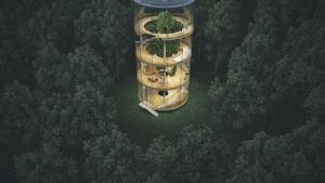 Illustration : "L'incroyable maison dans les bois"
