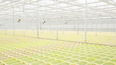 Illustration : L'agriculture vue par le photographe Henrik Spohler en 10 clichés