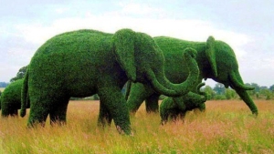 Illustration : "Top 12 des sculptures végétales les plus impressionnantes! "