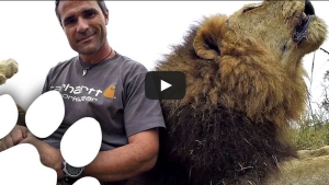 Illustration : "Voici comment Kevin Richardson a célébré la Journée Mondiale du Lion"