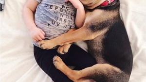 Illustration : "10 photos d'enfants et de chiens dormant côte à côte!"