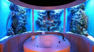 Illustration : "26 aquariums d'exception"