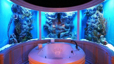 Illustration : "26 aquariums d'exception"