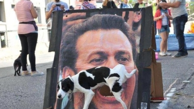 Illustration : "Ces 30 chiens photographiés au bon endroit au bon moment..."