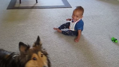 Illustration : Ce chien et ce bébé s'amusent comme des petits fous !
