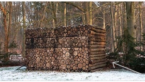 Illustration : "On croirait voir une simple pile de bois,  mais quand on s'approche c'est hallucinant!"