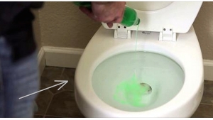 Illustration : "Il verse du liquide vaisselle dans une toilette et ce n'est pas pour la nettoyer. Regardez!"