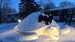 Illustration : "Ces trois frères ont réalisé une énorme sculpture de neige en forme de tortue. Ils n'en sont pas à leur coup d'essai"