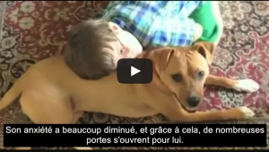 Illustration : "En adoptant un chien battu pour leur fils autiste, ils se s'imaginaient pas voir leur vie changer de cette manière!"