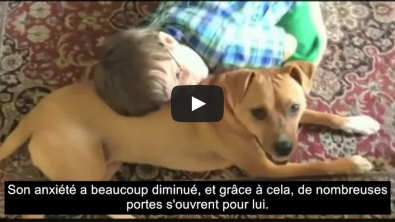 Illustration : "En adoptant un chien battu pour leur fils autiste, ils se s'imaginaient pas voir leur vie changer de cette manière!"