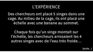 Illustration : "Cette histoire devrait vous faire réfléchir sur votre vie! Peut-être vous reconnaîtrez-vous?"