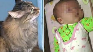 Illustration : "Ce chat se blottit contre ce bébé et la raison est tout juste attendrissante!"