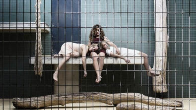 Illustration : "Ce photographe a mis des humains en cage pour lutter contre l'enfermement des animaux..."