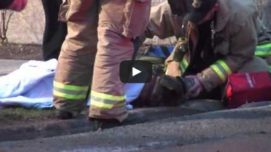 Illustration : Ces pompiers viennent de sauver un chien pris dans un incendie. Chapeau les gars !