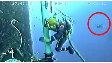 Illustration : En réparant cette canalisation, il ne s'attendait pas à cette rencontre sous-marine incroyable...