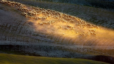 Illustration : "La Toscane comme vous ne l'aviez jamais vue, par le photographe polonais Marcin Sobas"