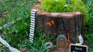 Transformez Les Souches Et Troncs D Arbres En Bacs A Fleurs Transformez Les Souches Et Troncs D Arbres En Bacs A Fleurs