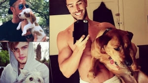 Illustration : "Hot Dudes With Dogs, le compte instagram des beaux mecs qui posent avec leurs chiens !"