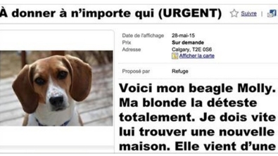 Illustration : "Il n'en peut plus et poste cette annonce sur un site de seconde main... Attendez de lire la fin !"